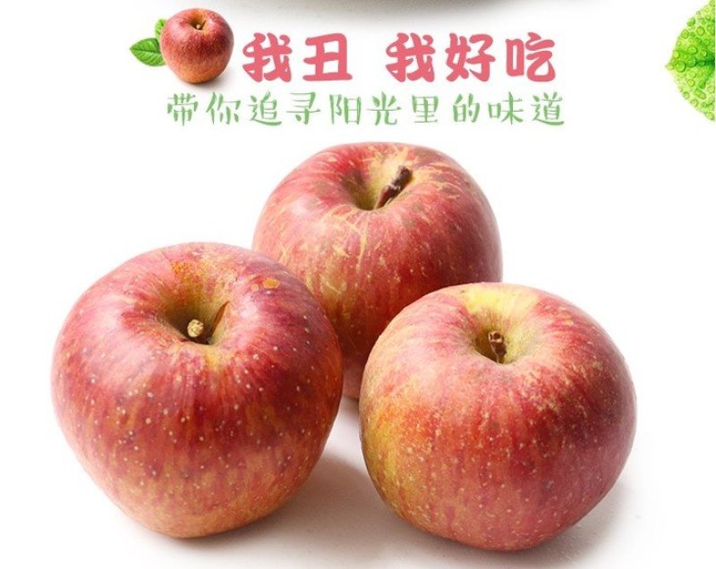 【一件代发精品】大凉山盐源丑苹果冰糖心丑苹果