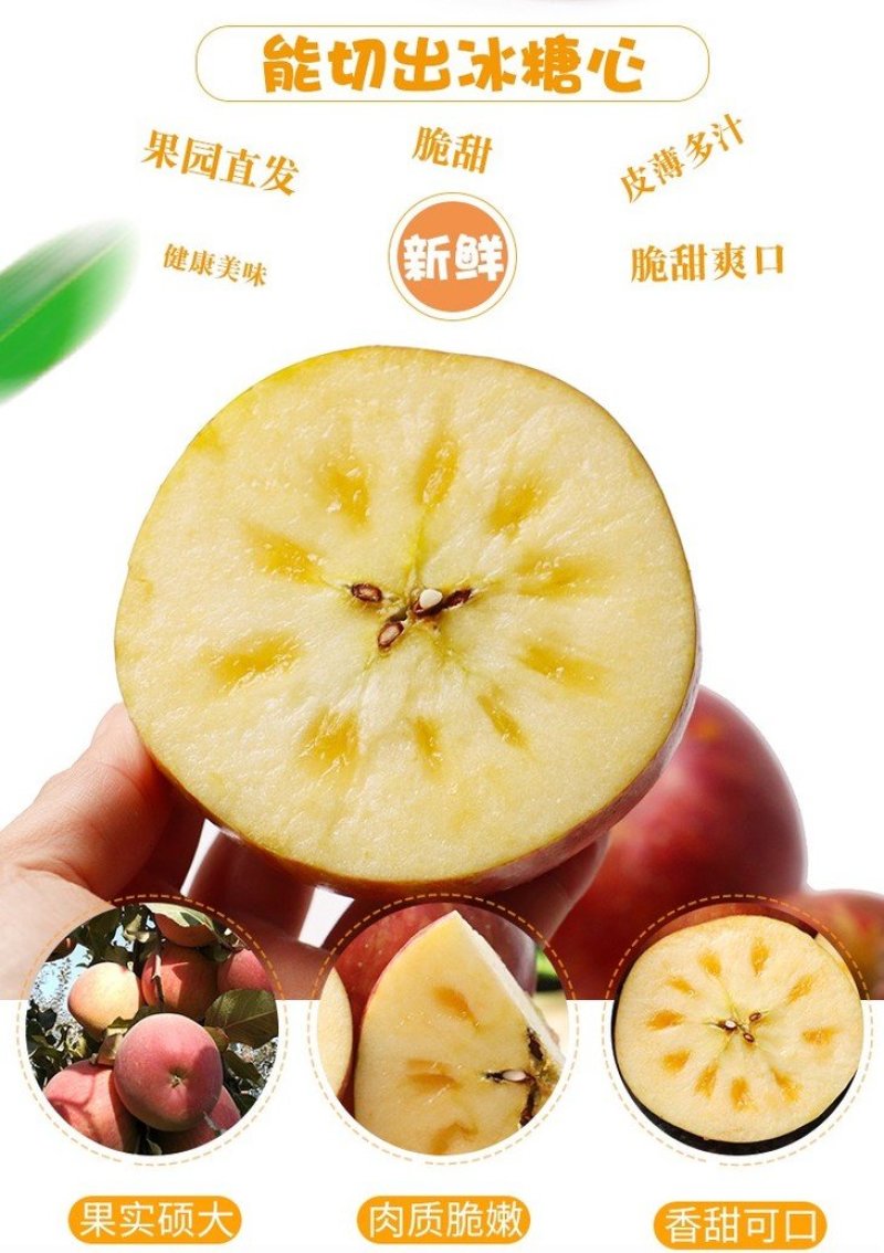 【一件代发精品】大凉山盐源丑苹果冰糖心丑苹果