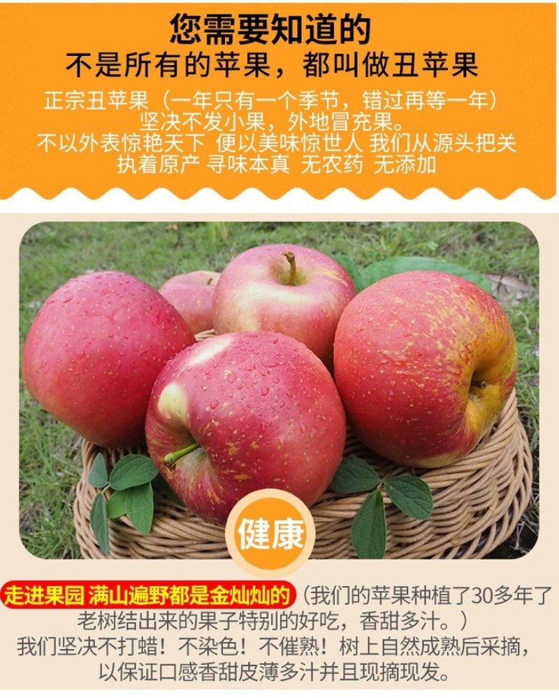 【一件代发精品】大凉山盐源丑苹果冰糖心丑苹果