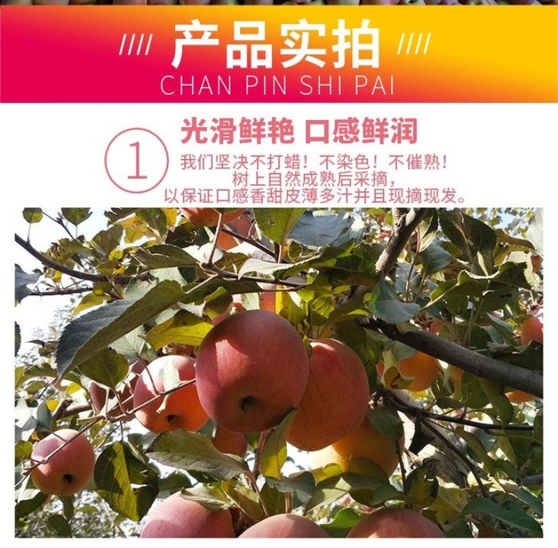 【一件代发精品】大凉山盐源丑苹果冰糖心丑苹果