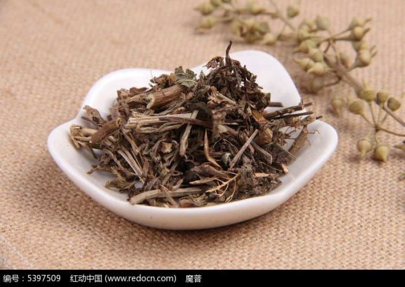 马鞭草一公斤包邮量大从优