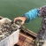 【正宗】李小多阳澄湖镇大闸蟹基地全国批发包邮招代理经销商