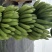 巴西香蕉苗、粉蕉、红香蕉、当年种植当年挂果