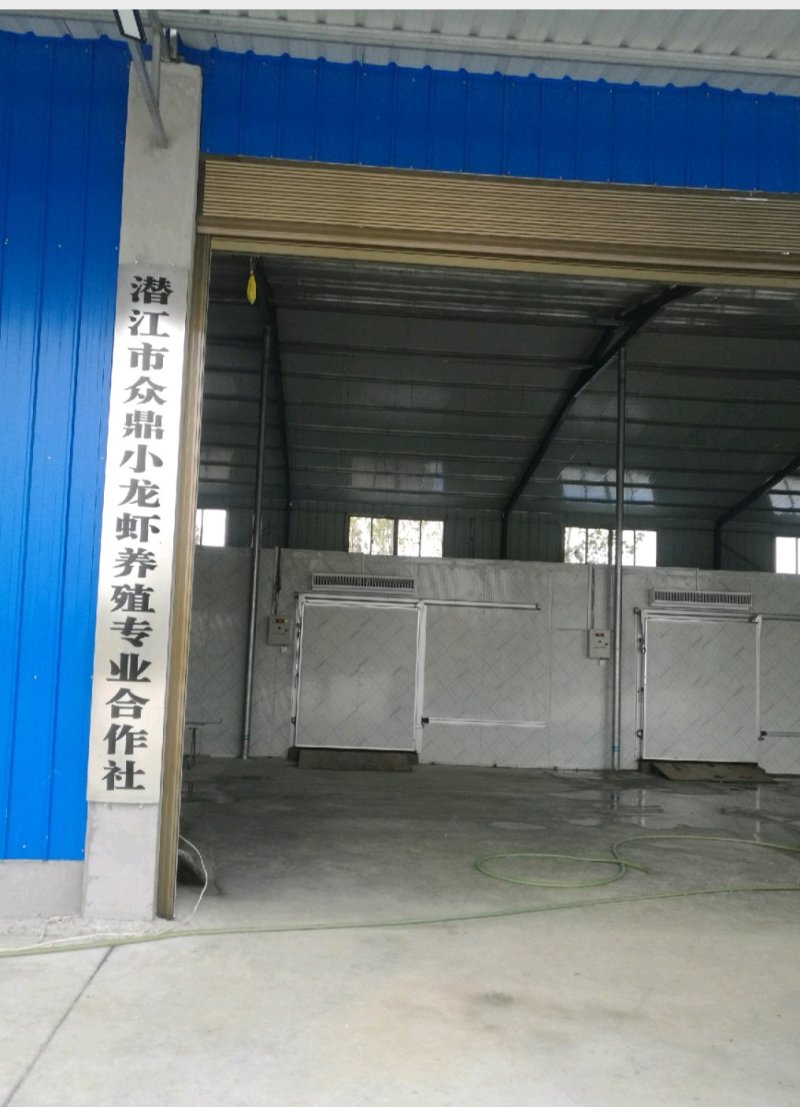 潜江清水小龙虾3-4钱4-6钱精品食用活虾纯青虾死亡包赔