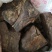 儿茶别名孩儿茶乌爹泥千余品种供应承接订单