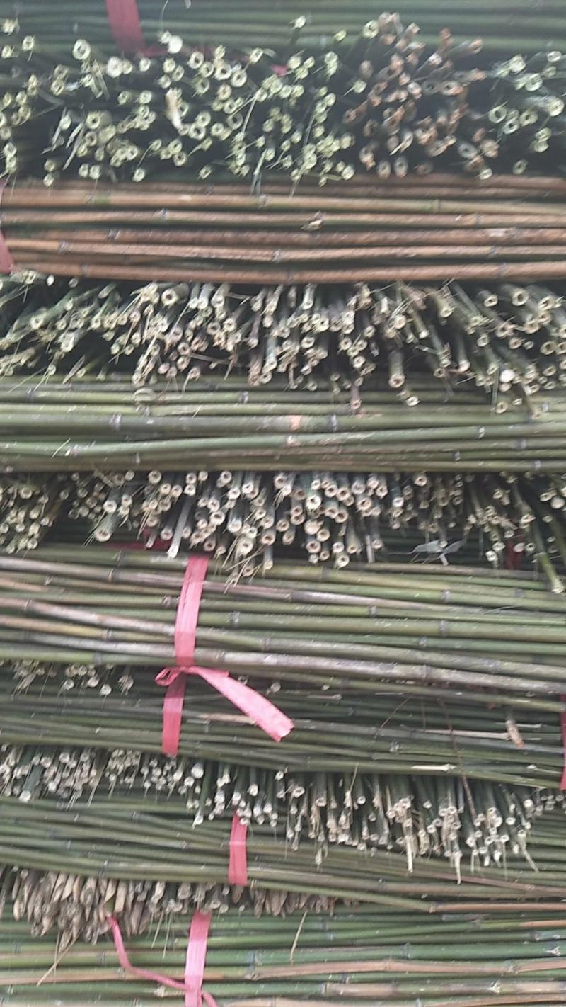 优质菜架竹产地直供，现货批发，豆角架西红柿黄瓜架火龙果架