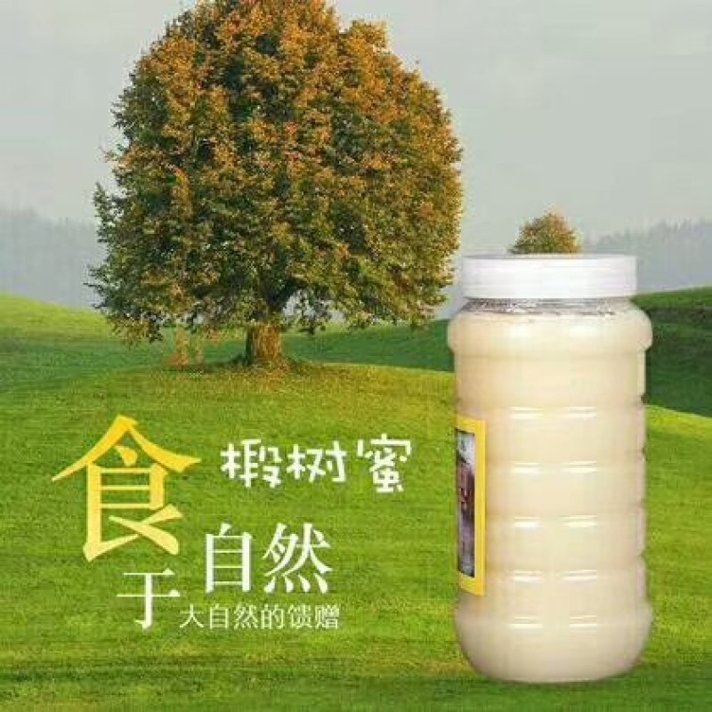 雪蜜椴树蜜新鲜东北椴树蜜容易结晶支持批发一件代发。