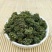 三七花千余品种供应承接订单