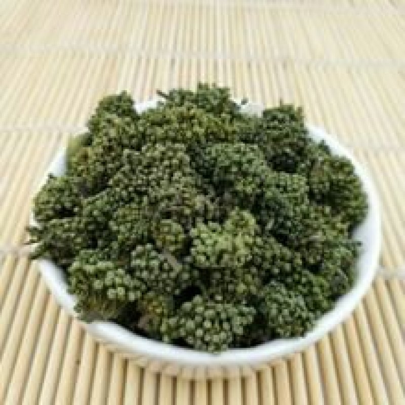 三七花千余品种供应承接订单
