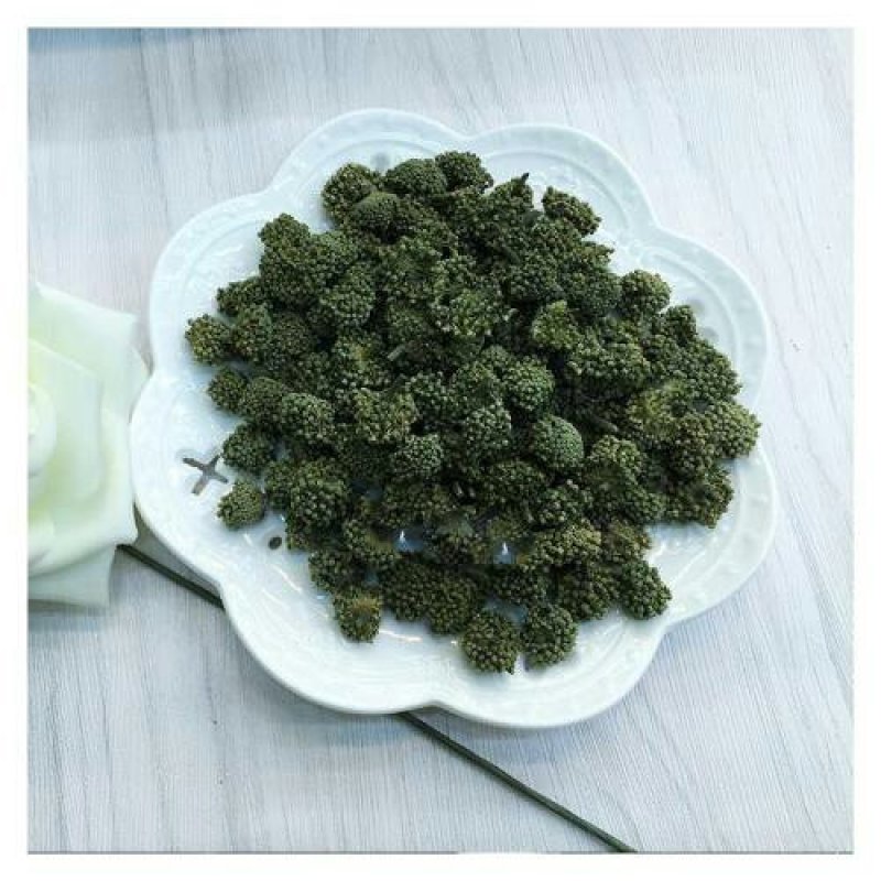 三七花千余品种供应承接订单