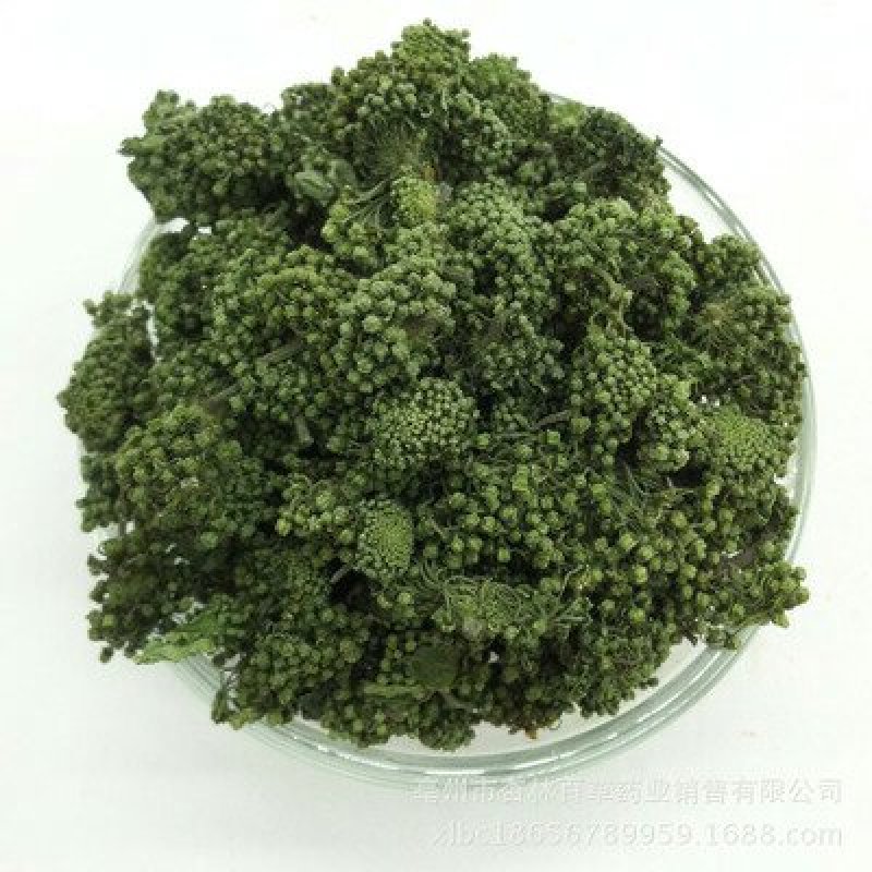 三七花千余品种供应承接订单
