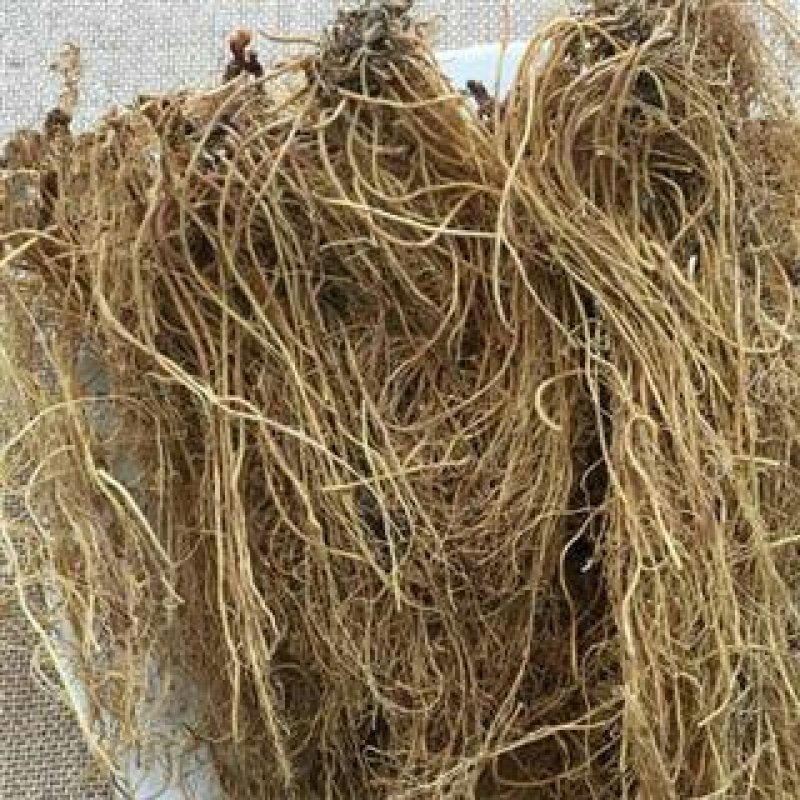 三十六荡三十六根老君须娃儿藤双飞蝴蝶千余品种