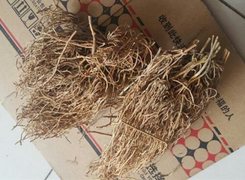 三十六荡三十六根老君须娃儿藤双飞蝴蝶千余品种