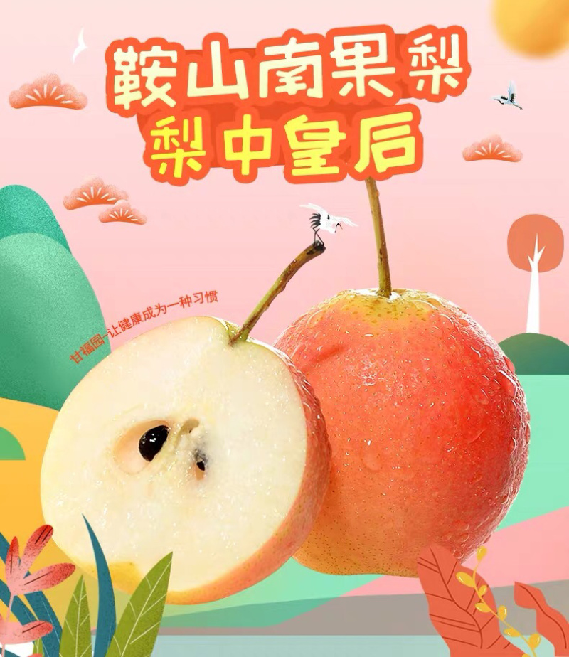 自家果园南果梨精品礼盒装