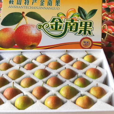 自家果园南果梨精品礼盒装