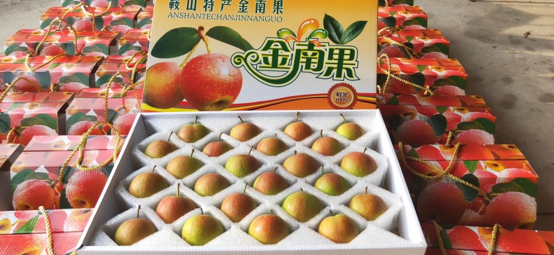 自家果园南果梨精品礼盒装
