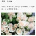 多头玫瑰泡泡系列，芭比，水晶，香槟，蝴蝶小苗批发零售