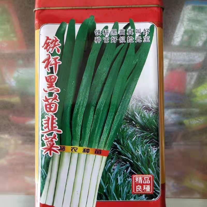 韭菜种子，久星16久星18/冬季不休眠品种种子