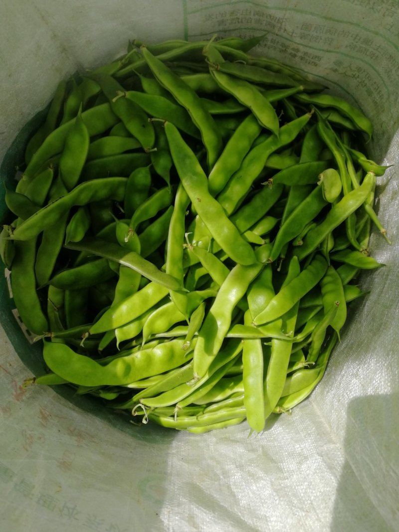 油豆角
