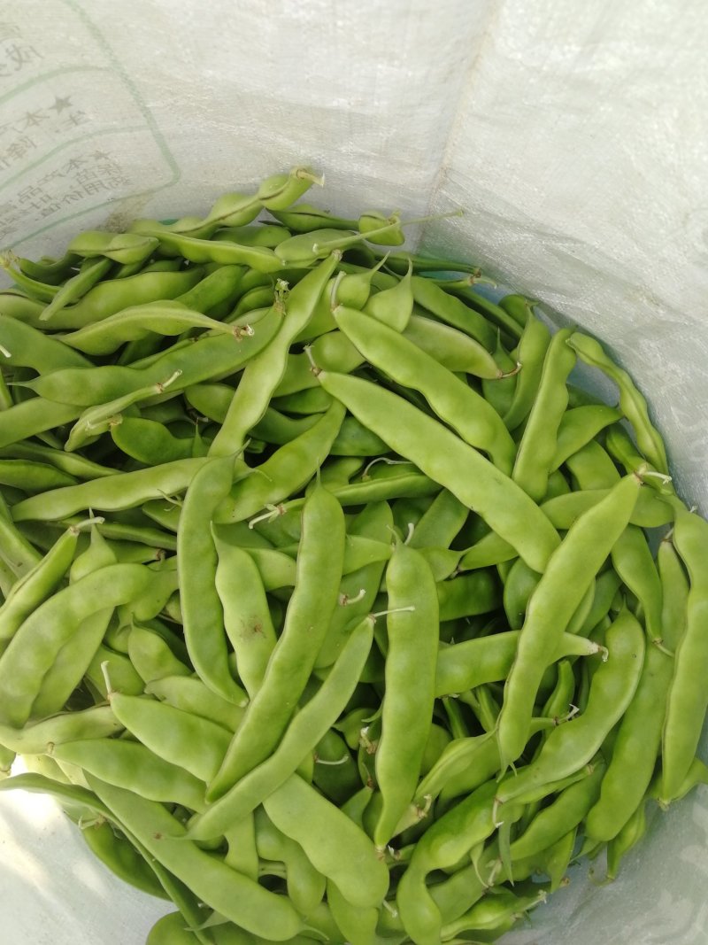 油豆角