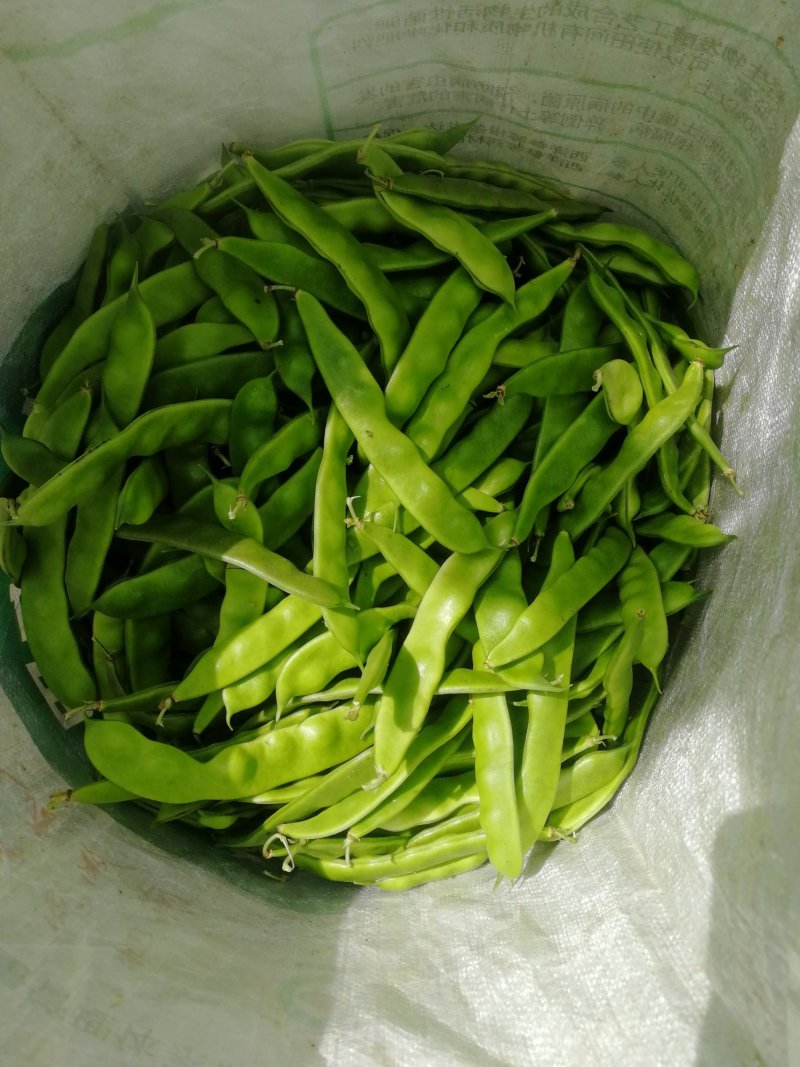 油豆角