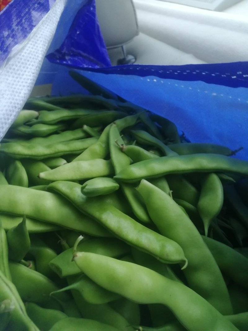 油豆角