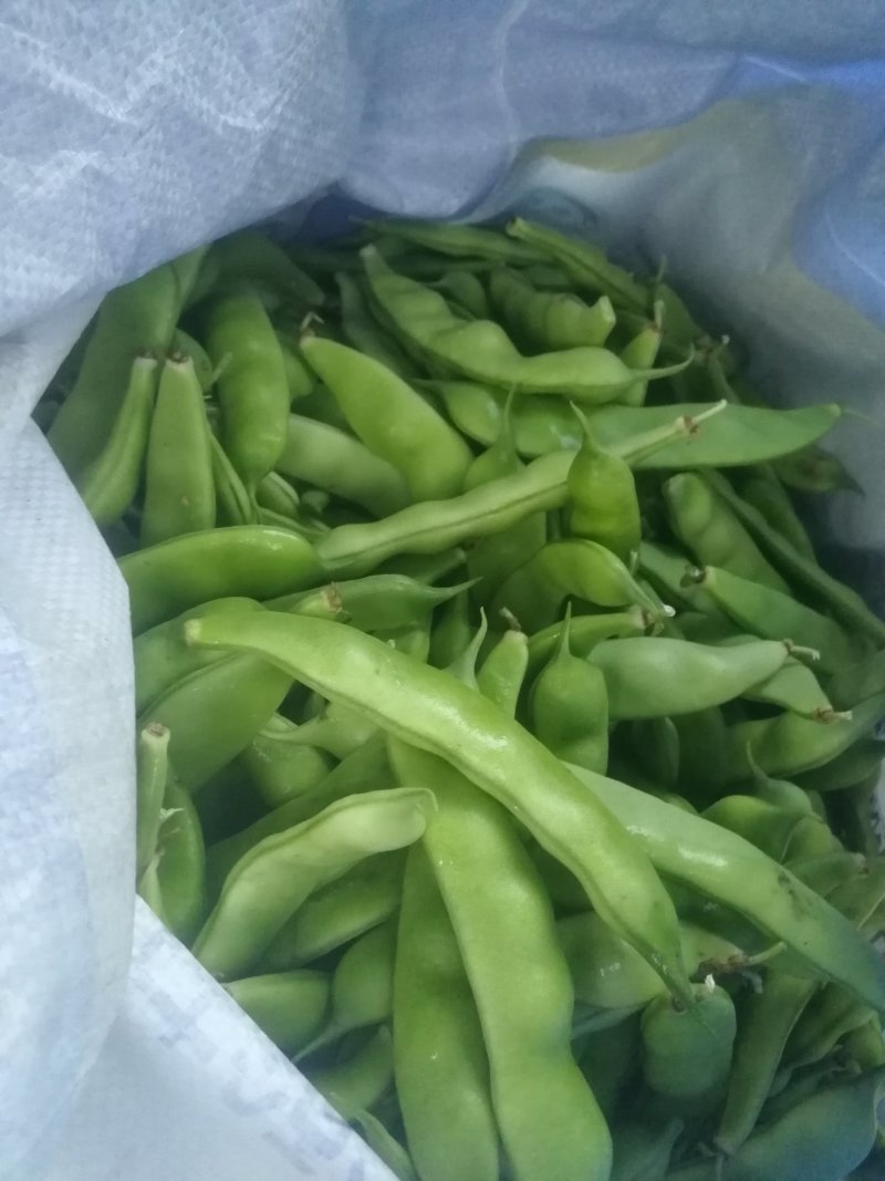 油豆角
