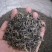 高山绿茶