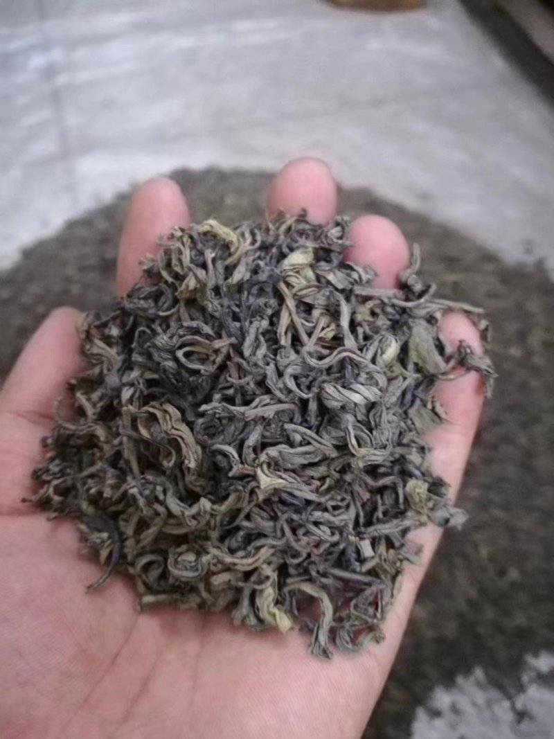 高山绿茶