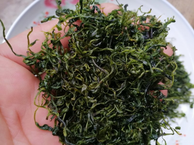 小叶苦丁