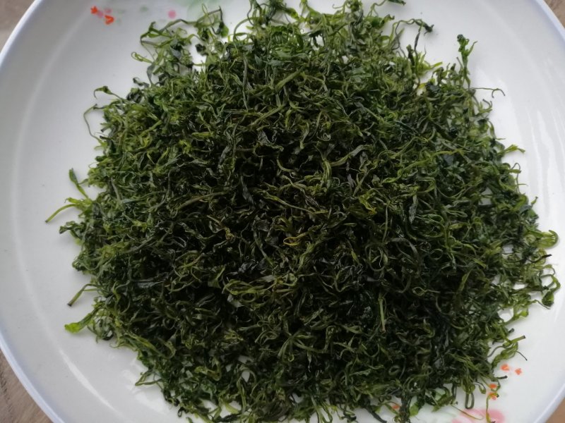 小叶苦丁