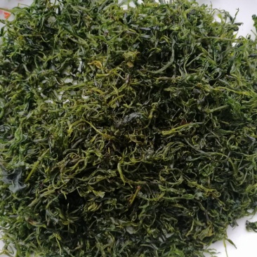 小叶苦丁