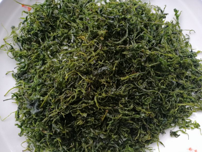 小叶苦丁