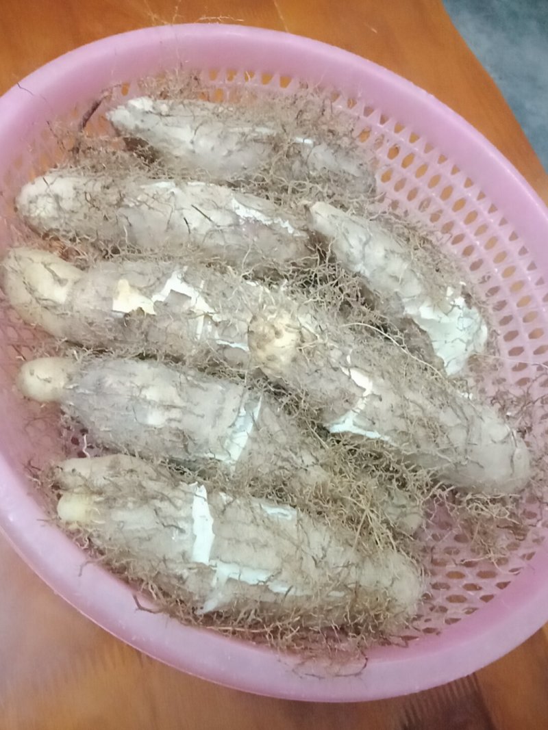 毛薯