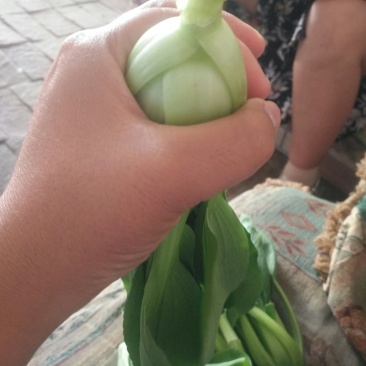 上海青