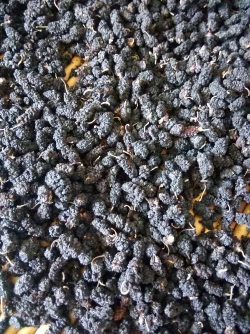 【有好货】桑椹干也包邮桑椹果干农家初选农副产品