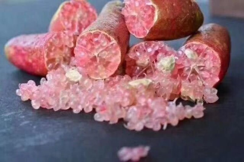 手指柠檬苗，各种颜色果肉的柠檬