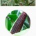 云南特产早餐黑糯玉米