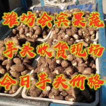 黄沙土地8520大通货毛芋头