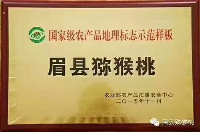 獼猴桃