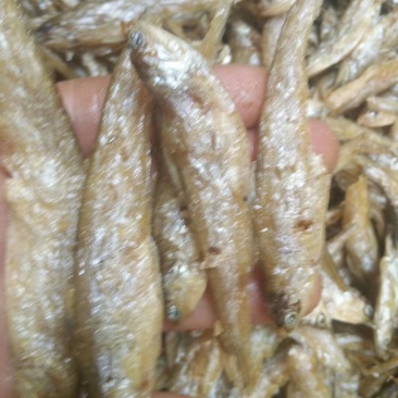油炸毛刀鱼干度好颜色好看不苦，