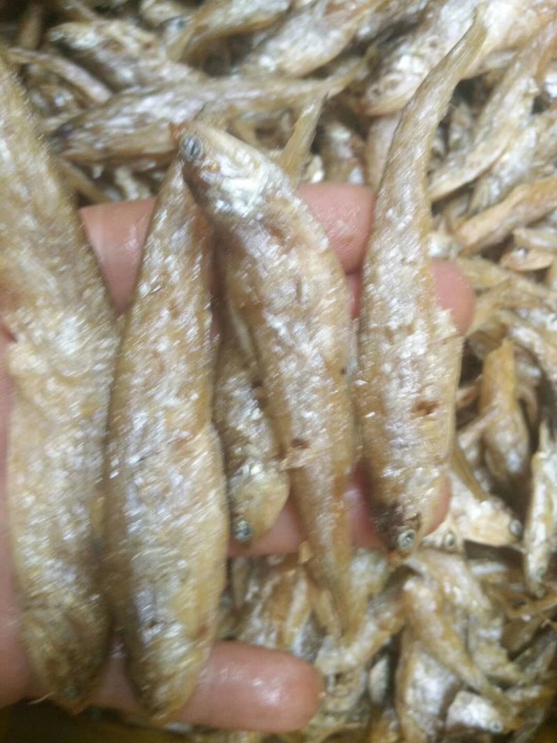 油炸毛刀鱼干度好颜色好看不苦，