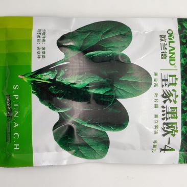 欧兰德菠菜种子黑油亮圆叶菠菜耐热春秋播菠菜种子矮脚菠菜