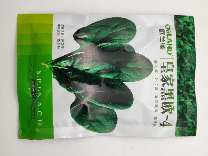 欧兰德菠菜种子黑油亮圆叶菠菜耐热春秋播菠菜种子矮脚菠菜