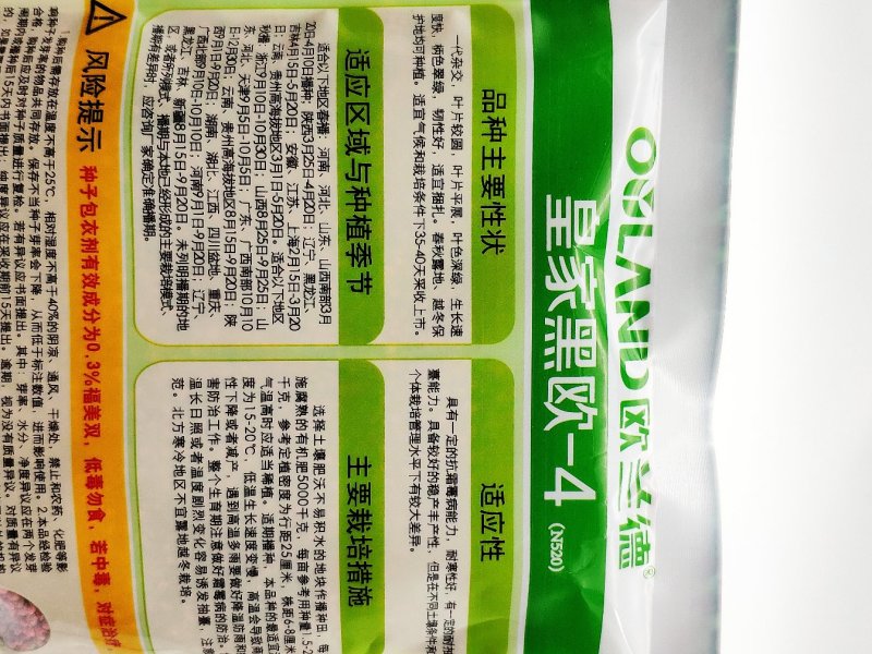 欧兰德菠菜种子黑油亮圆叶菠菜耐热春秋播菠菜种子矮脚菠菜