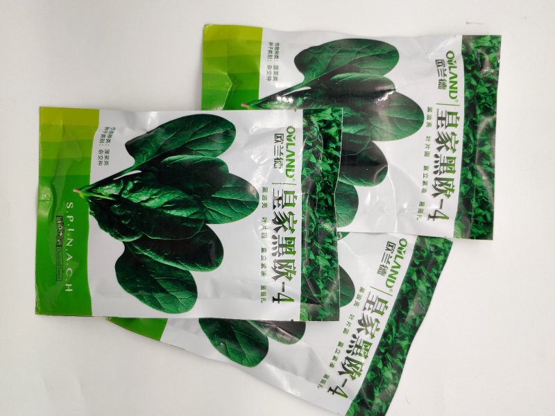 欧兰德菠菜种子黑油亮圆叶菠菜耐热春秋播菠菜种子矮脚菠菜