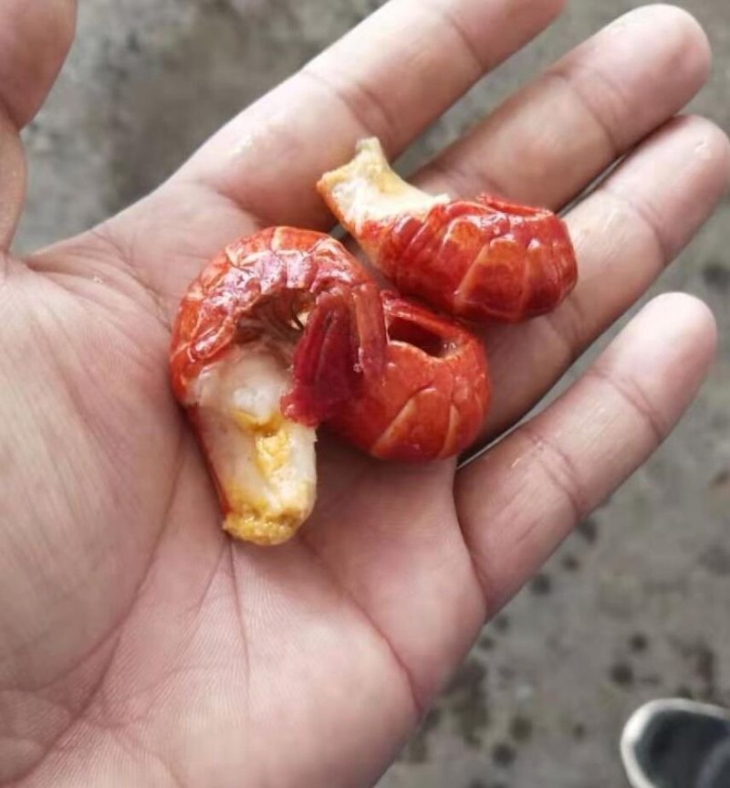 特级龙虾尾
