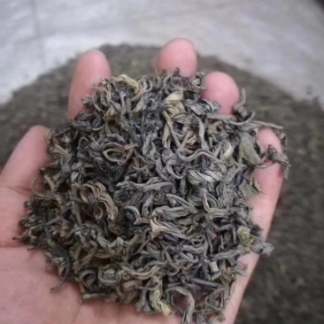 高山绿茶