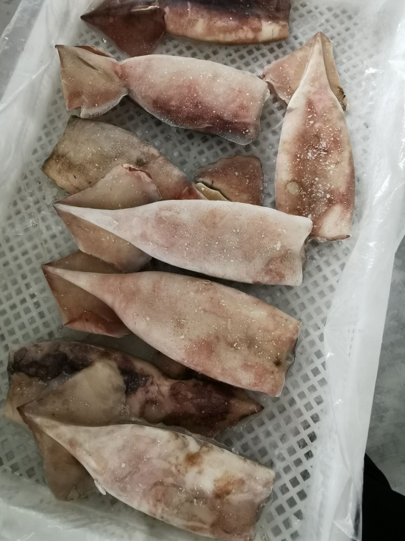 单冻鱿鱼筒