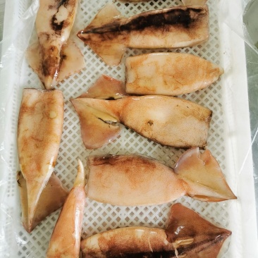 单冻鱿鱼筒